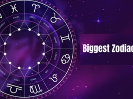 Horoscope today 16 January 2023 : Biggest zodiac change of the year on Tuesday, some will have peace of mind and some will be upset