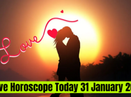 Love Horoscope Today 31 January 2023 : Know how today will be for love and married life.