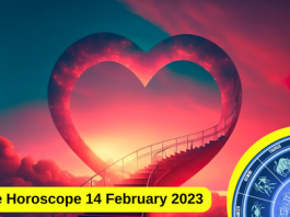 Love Horoscope 14 February 2023: Will feel change in love life, will propose partner today