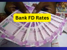 Bank FD Rates: These banks are giving bumper interest on FD, investors will get huge profits- Details Here