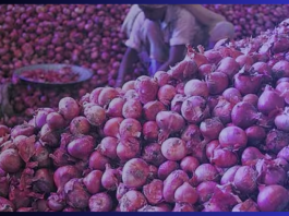 Onion Price: Falling price of onion making farmers cry, forced to sell at throwaway prices due to steep fall in prices