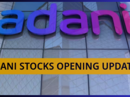 Adani Share Price Today: Adani stocks shine even in the fall of the market, investors are earning in these 8 stocks