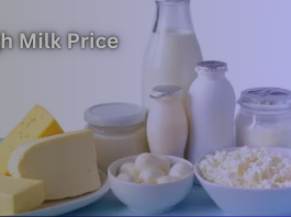 High Milk Prices: Due to expensive milk, the price of dairy products increased, the government is considering imports to give relief