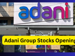 Adani Group Stocks Opening : All shares of Adani Group became rocket! Enterprises rose 7.49 percent and this stock rose 8.40 percent.