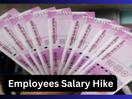 Employees Salary Hike : Good News! Increase in salary of employees! Notification issued, benefits will be available from the month of June, 62000 rupees will come in the annual account