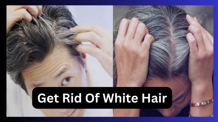 Get Rid Of White Hair! Worried about white hair? Do adopt this panacea treatment once, problems will be removed forever