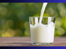 Milk Procurement Price : Milk procurement rates reduced by up to 10%, butter and milk powder prices also cut!