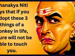 Chanakya Niti says that if you adopt these 3 things of a donkey in life, failure will not be able to touch you.