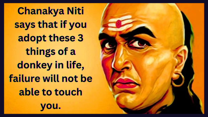 Chanakya Niti says that if you adopt these 3 things of a donkey in life, failure will not be able to touch you.