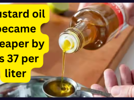 Mustard Oil Price: Mustard oil has become cheaper by Rs 37 per liter here, know who will get the benefit