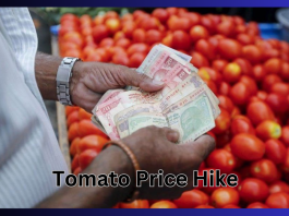 Tomato Price Hike : Tomato prices increased to Rs 120 a kg in the rain! The government has told when the rates will be reduced?