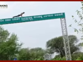 Viral Video: Drunk Man's Push-Ups On Towering Signboard Leaves Internet Stunned