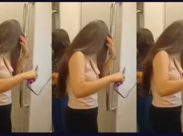 Viral Video: Girl Spotted Using Hair Straightener Inside Delhi Metro, Internet Furious