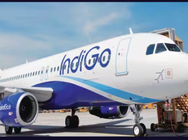 Indigo Share Price: Indigo's shares went to a height of 52 weeks and gave bumper profits to investors, this is the reason