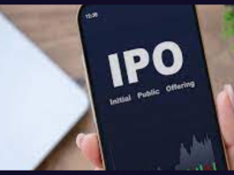 IPO Alert: IPO of this spice maker opened today, chance to place bets till August 9, know details