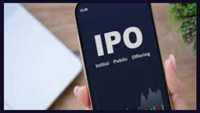 IPO Alert: IPO of this spice maker opened today, chance to place bets till August 9, know details