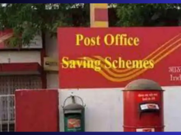 Invest in Post Office Schemes or not? Know these important things before investing money