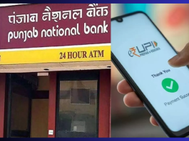 Punjab National Bank launches IVR based UPI 123PAY! Transaction will be done without internet in a jiffy