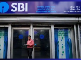 SBI Investment : You can also invest in these schemes of SBI, getting returns by pressing