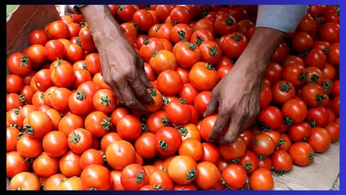 Tomato Prices : In this city of India, tomatoes were sold for only Rs 20 per kg, customers were happy after getting the offer