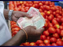 Tomato Rate Reduced : Tomatoes started getting cheaper in Delhi-NCR, Noida and Ghaziabad, buy at these places