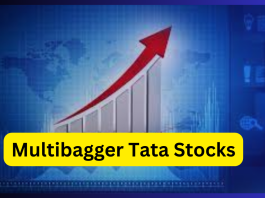 Multibagger Tata Stocks: Stormy share of Tata group, did wonders in the stock market, jumped 10 times in 3 years