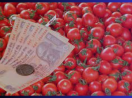 Tomato Prices Down: Tomato rate has tripled, a big relief to the public