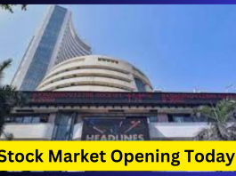 Stock Market Opening Today : Market opened with slight rise, Bank Nifty fell by 0.22 percent