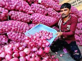 Delhi Onion Price: Delhiites are getting the cheapest onion at these 40 places, the government is selling it at half the rate.