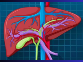 Antibiotic Medicine Side Effects : Consuming too many antibiotics can damage the liver, know when it should be taken only?