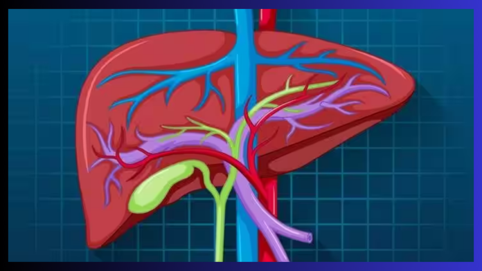 Antibiotic Medicine Side Effects : Consuming too many antibiotics can damage the liver, know when it should be taken only?