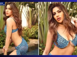 Nikki Tamboli adds a touch of hotness in bikini, see her sizzling look