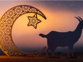 Eid-Ul-Adha 2024: Animals are sacrificed on Bakrid, then why is the meat divided into 3 parts?