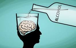 Drinking Alcohol : What happens to your brain after drinking alcohol? This interesting information has come to light