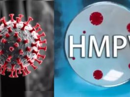 HMPV Virus : Is there a lot of confusion about HMPV? Know everything related to this virus here