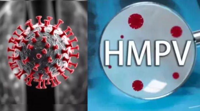 HMPV Virus : Is there a lot of confusion about HMPV? Know everything related to this virus here