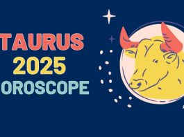 Taurus Relationship Horoscope 2025: The year 2025 will be full of ups and downs for the Taurus family, read the annual horoscope