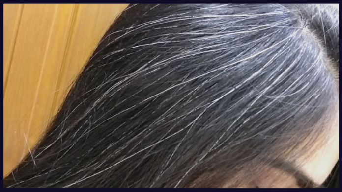 Grey Hairs Remedy: Are you troubled by grey hair? Try Baba Ramdev's 5 Ayurvedic remedies Grey Hairs Remedy: Are you troubled by grey hair? Try Baba Ramdev's 5 Ayurvedic remedies